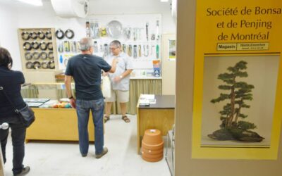Ouvertures en 2023 de la boutique SBPM