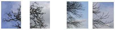 arbre_9