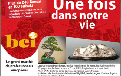 Congrès mondial du BCI et le Bonsai Euro Top 30