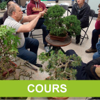 Les cours et ateliers de la SBPM sont de retour.