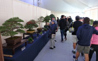 Exposition annuelle de la SBPM du 3 au 5 juin 2022
