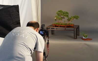 Vous êtes membres et vous aimeriez exposer vos arbres ?
