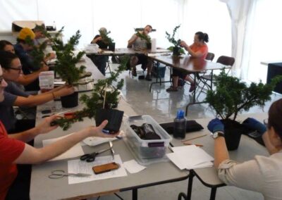 Concours nouveaux talents