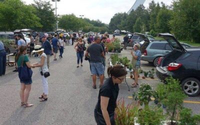 Bazar, ouverture de notre boutique et encan : on vous attend le 17 août!