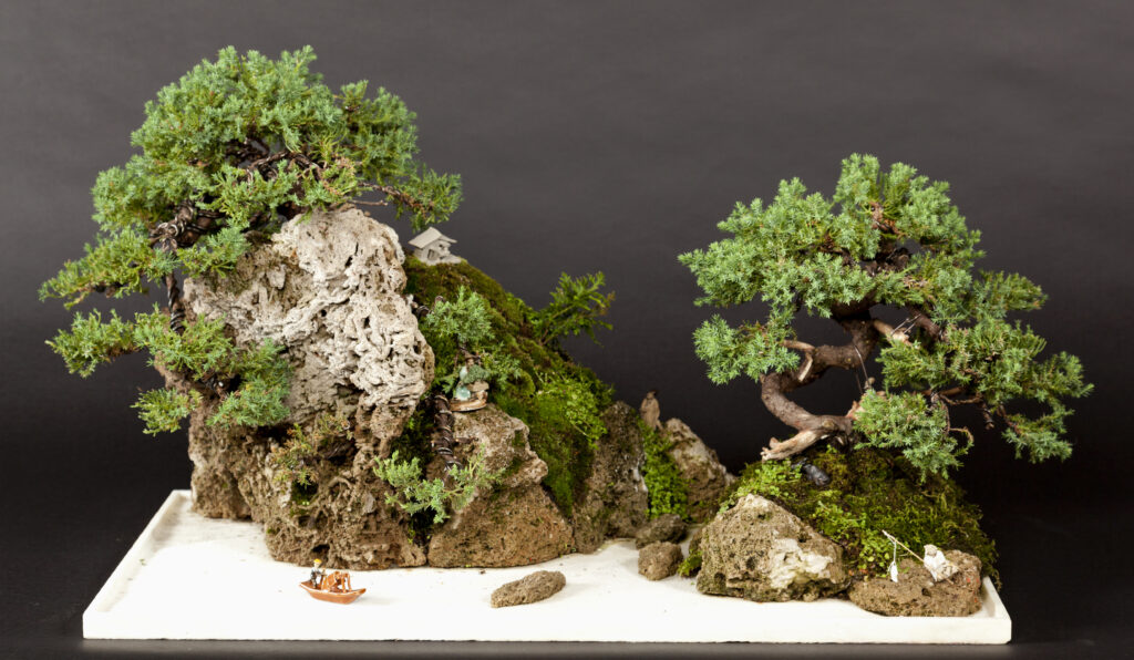 penjing_MG_9710