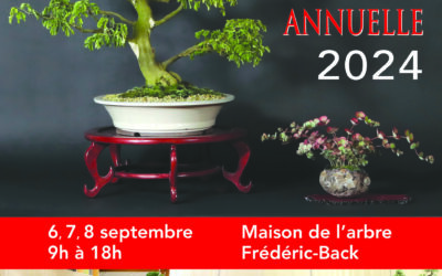 EXPOSITION ANNUELLE 2024