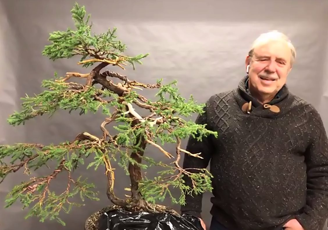 Conférence de David Easterbrook - Comment bien choisir un arbre pour faire un bonsaï.