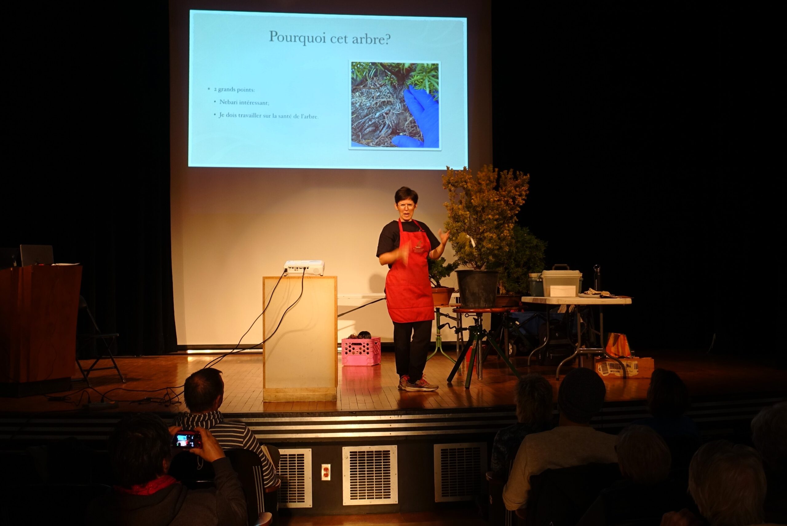 Conférence, démonstration: 3 femmes-3 arbres-3 ans - Un an plus tard!